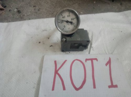 Термометр корабельний тк100-80.