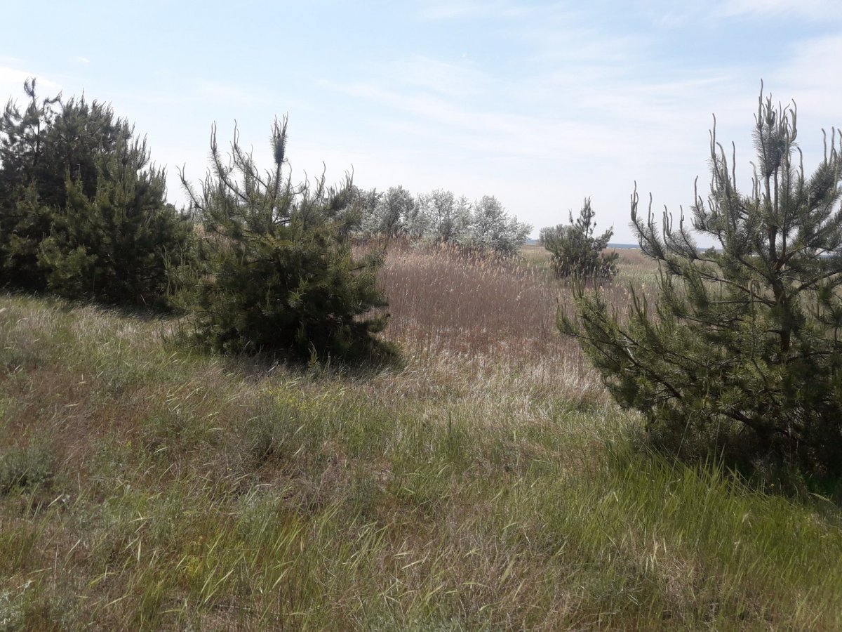 20190518_120710.jpg