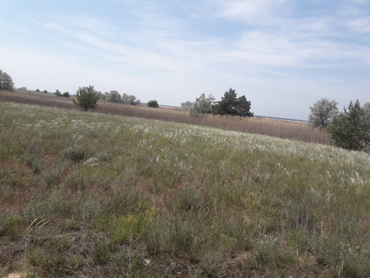 20190518_120716.jpg