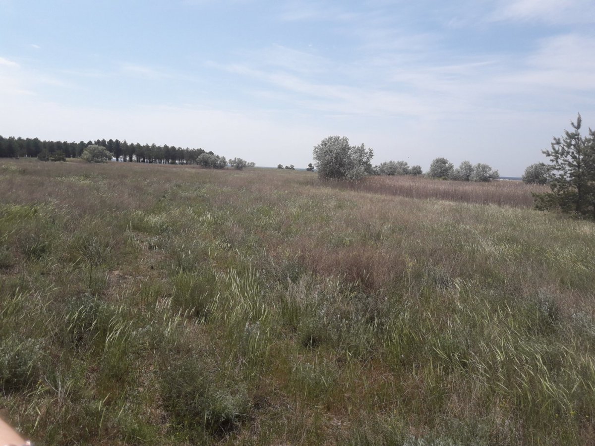 20190518_120722.jpg
