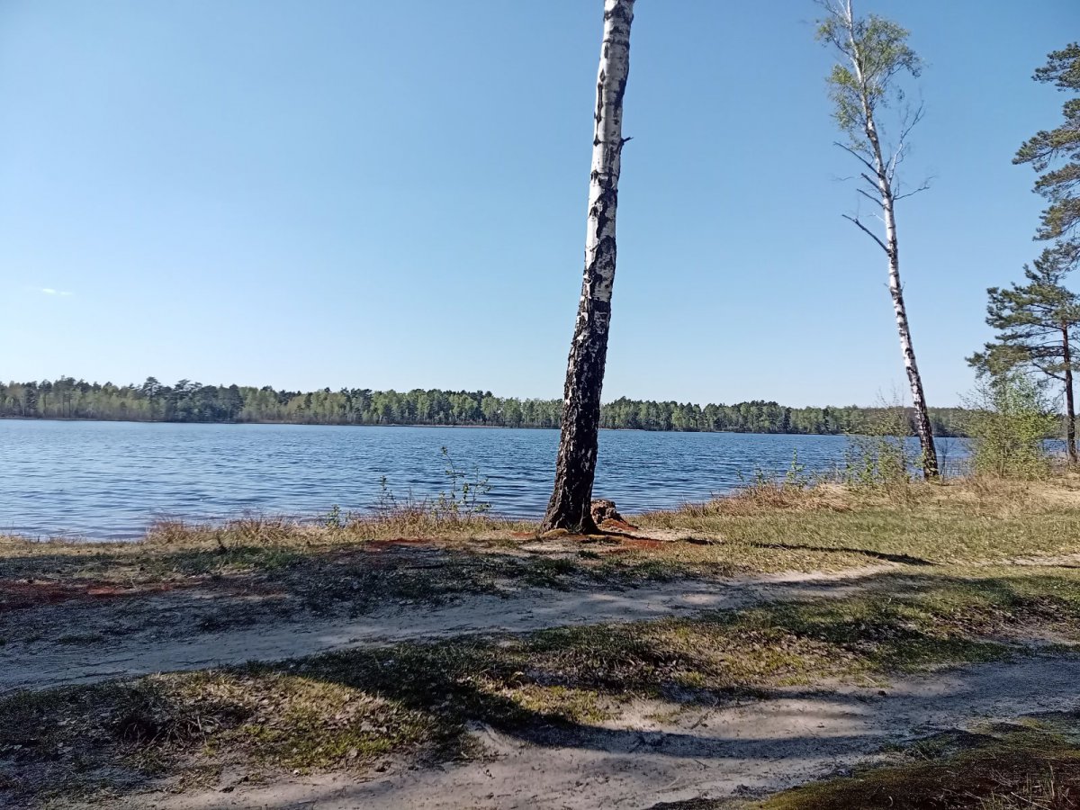 IMG_20260503_145257_772.jpg